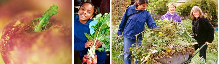 Sustainability and Schools