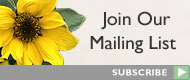 Join Our Mailing List