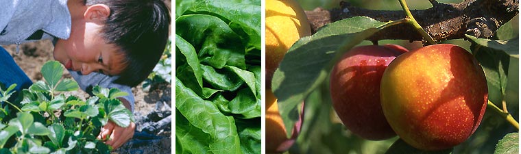 Dan Imhoff: Neither Paper nor Plastic: Eating outside the Box