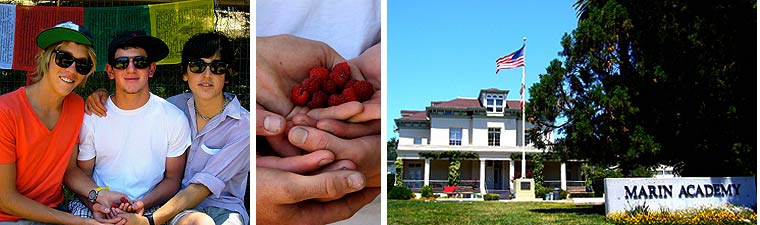 Educating for Sustainability at Marin Academy