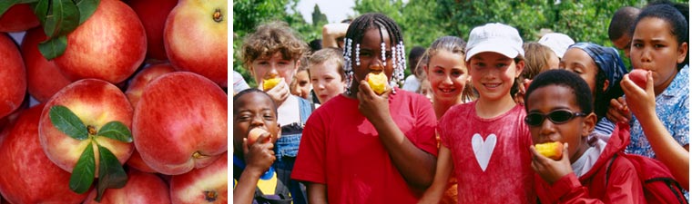 Elizabeth Ransom and Troy Duster - A Taste for Learning